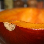 Baked Pumpkin | Palette Dome Cuisine A roasted pumpkin ready for thanksgiving pie filling