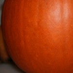 Giant Pumpkin | Palette Dome Cuisine