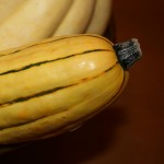 Squash | Palette Dome Cuisine