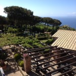 View from hotel terrace