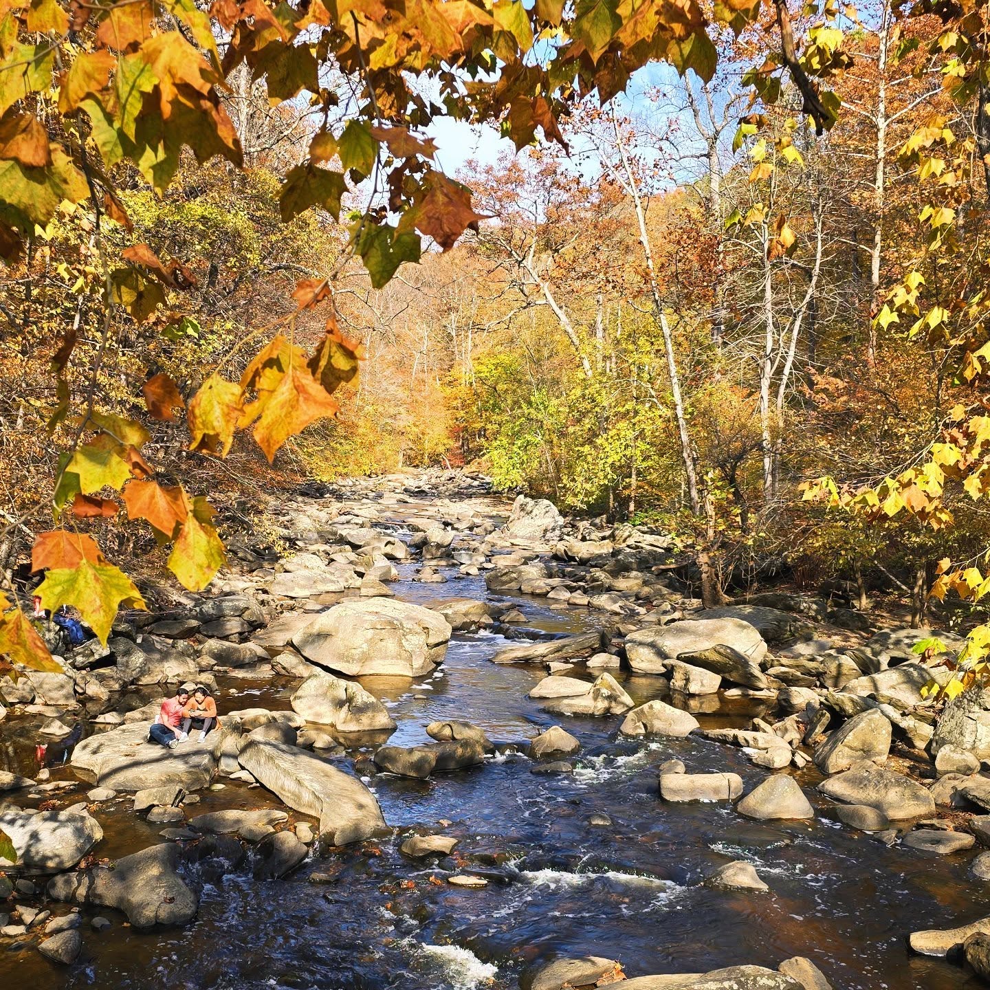 #fall is in the air, #thanksgiving is around the corner,  and we suddenly realized we did not say hi for quite some time, despite being quite busy in the kitchen. 

If you are looking for #healthierfoodchoices, we publish our shared menu every Wednesday for the following week. You can be included on that distribution list by simply messaging chef with your email. 

Our Thanksgiving menu is going live this weekend,  so if you are seeking some classic choices, come have a look online.

Otherwise,  have a great holiday season,  and we will share more as the season progresses.

#personalchef #boutiquecatering #timetoeatbetter #modernmediterranean #madefromscratch #localfood #organicfood sustainable #humane #plantcentric #plantforward