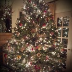 Christmas Tree 2015