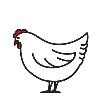Chicken02color | Palette Dome Cuisine