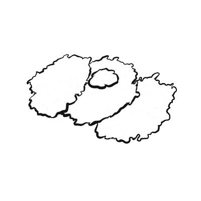 Latkes | Palette Dome Cuisine Latkes