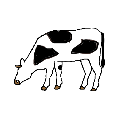 Cow06Color | Palette Dome Cuisine